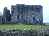 MATING IN SCOTLAND - DUNDONALD CASTLE 