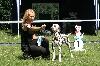  Combined Dog Show DDC and CDF ALPEN ( D ) - 6/12 - Exc. 1, CAC VDH/ CAC CLUB!!